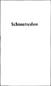 Giulia Cecilia Thieme giulgiu@web.de, Schneetreiben